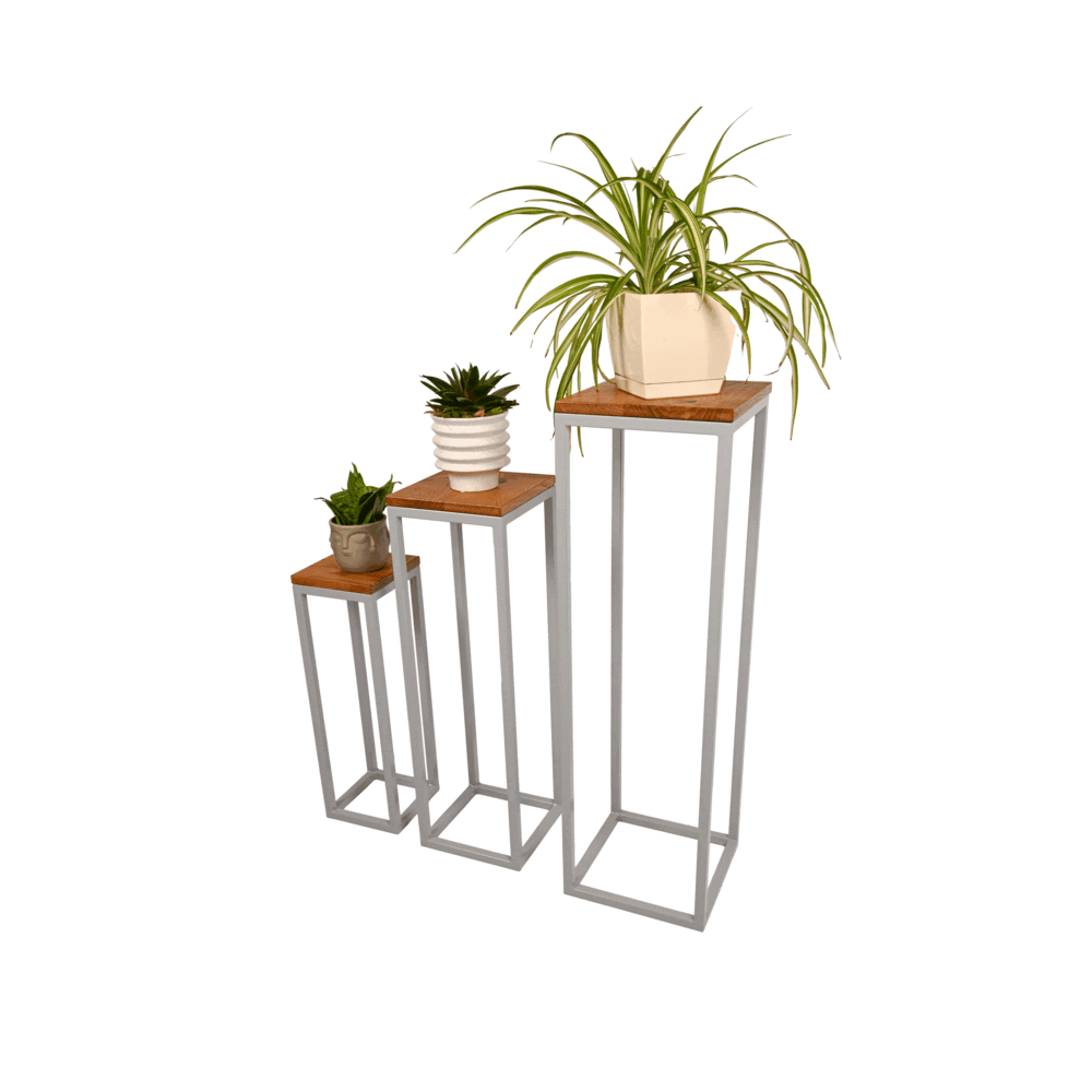 PS2_3---Plant-stands-Testis-Wood---White-Aluminium---001